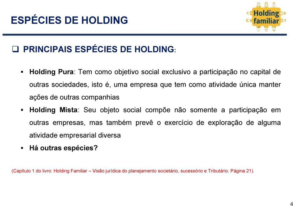 compõe não somente a participação em outras empresas, mas também prevê o exercício de exploração de alguma atividade empresarial