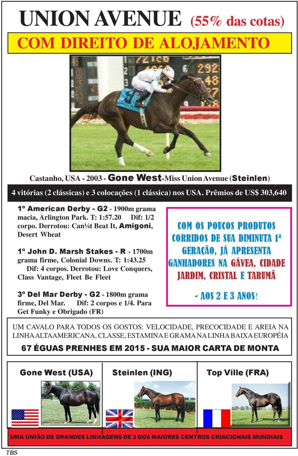 Marsh Stakes - R - 1700m grama firme, Colonial Downs. T: 1:43.25 Dif: 4 corpos. Derrotou: Love Conquers, Class Vantage, Fleet Be Fleet 3º Del Mar Derby - G2-1800m grama firme, Del Mar.