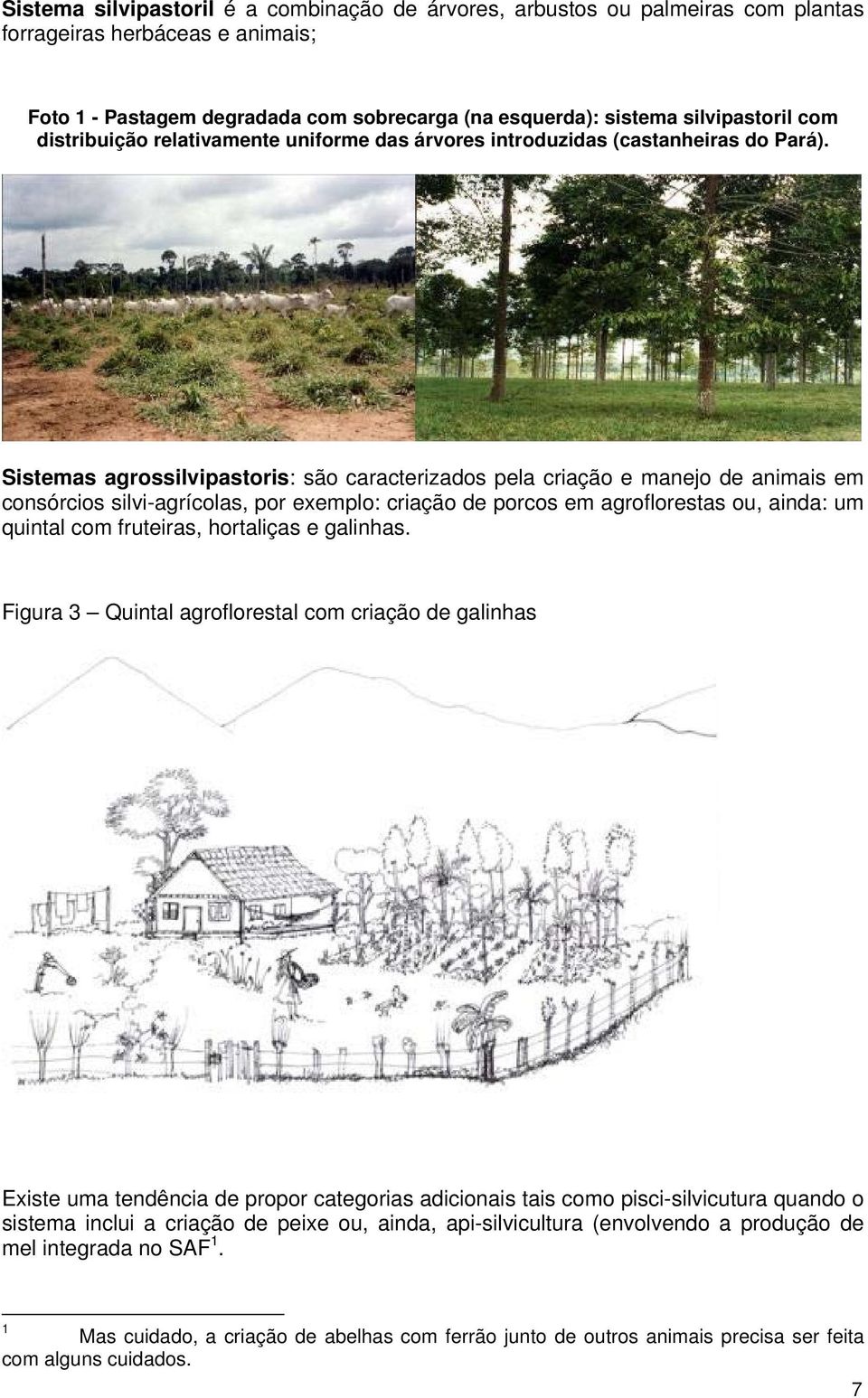 Sistemas agrossilvipastoris: são caracterizados pela criação e manejo de animais em consórcios silvi-agrícolas, por exemplo: criação de porcos em agroflorestas ou, ainda: um quintal com fruteiras,