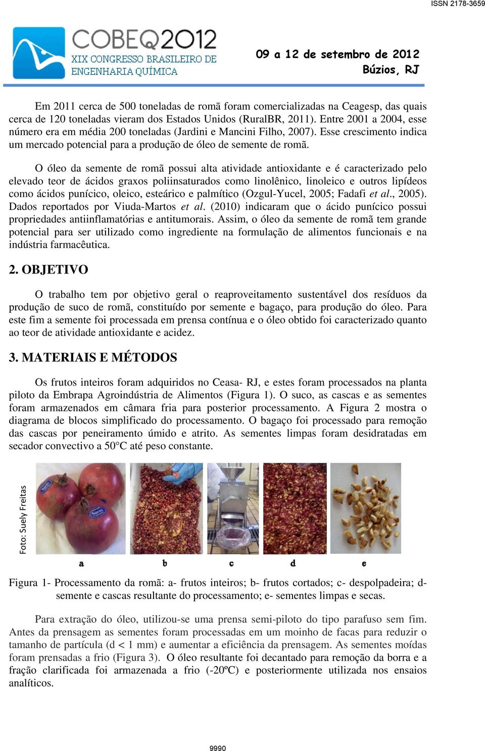 O óleo da semente de romã possui alta atividade antioxidante e é caracterizado pelo elevado teor de ácidos graxos poliinsaturados como linolênico, linoleicoo e outros lipídeos como ácidos punícico,