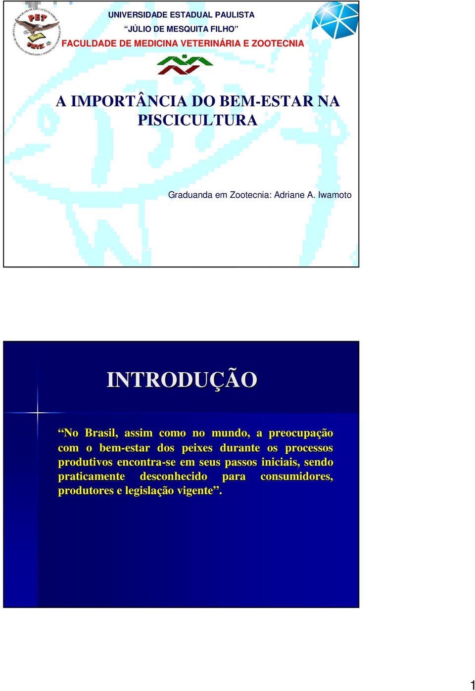 Iwamoto Botucatu, Setembro de 2009 INTRODUÇÃO No Brasil, assim como no mundo, a preocupação com o bem-estar estar