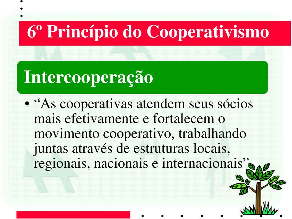 fortalecem o movimento cooperativo, trabalhando juntas