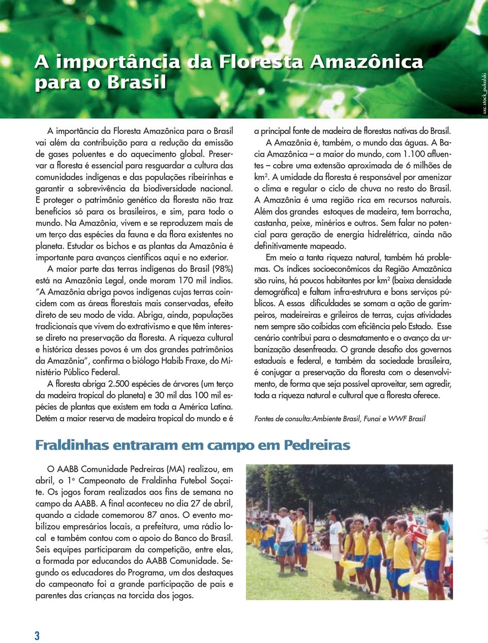 Preservar a floresta é essencial para resguardar a cultura das comunidades indígenas e das populações ribeirinhas e garantir a sobrevivência da biodiversidade nacional.