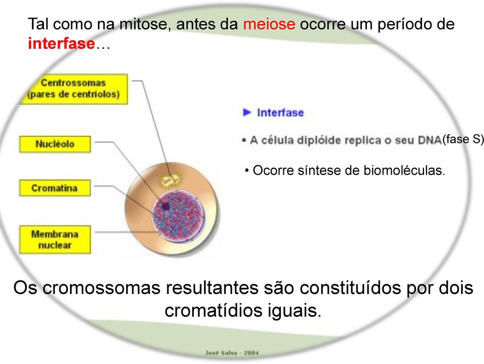 biomoléculas.