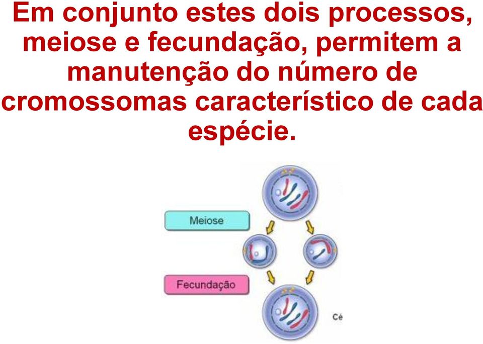 manutenção do número de