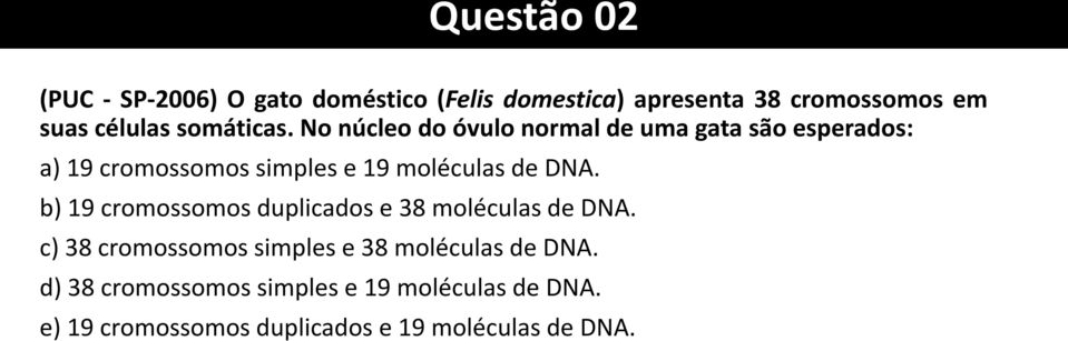 No núcleo do óvulo normal de uma gata são esperados: a) 19 cromossomos simples e 19 moléculas de DNA.