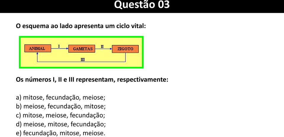 meiose; b) meiose, fecundação, mitose; c) mitose, meiose,