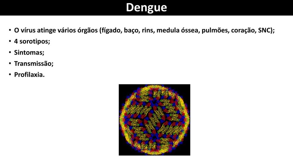 pulmões, coração, SNC); 4