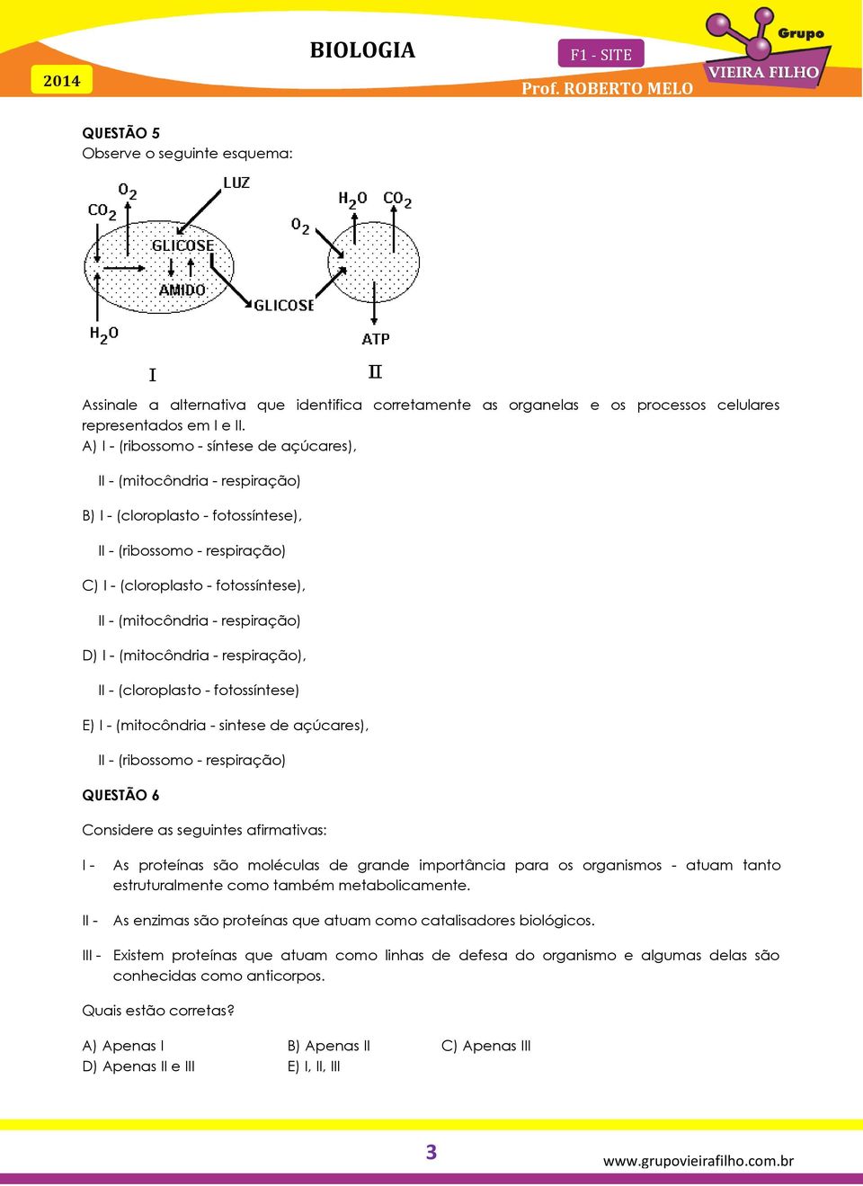 respiração) D) I - (mitocôndria - respiração), II - (cloroplasto - fotossíntese) E) I - (mitocôndria - sintese de açúcares), II - (ribossomo - respiração) QUESTÃO 6 Considere as seguintes