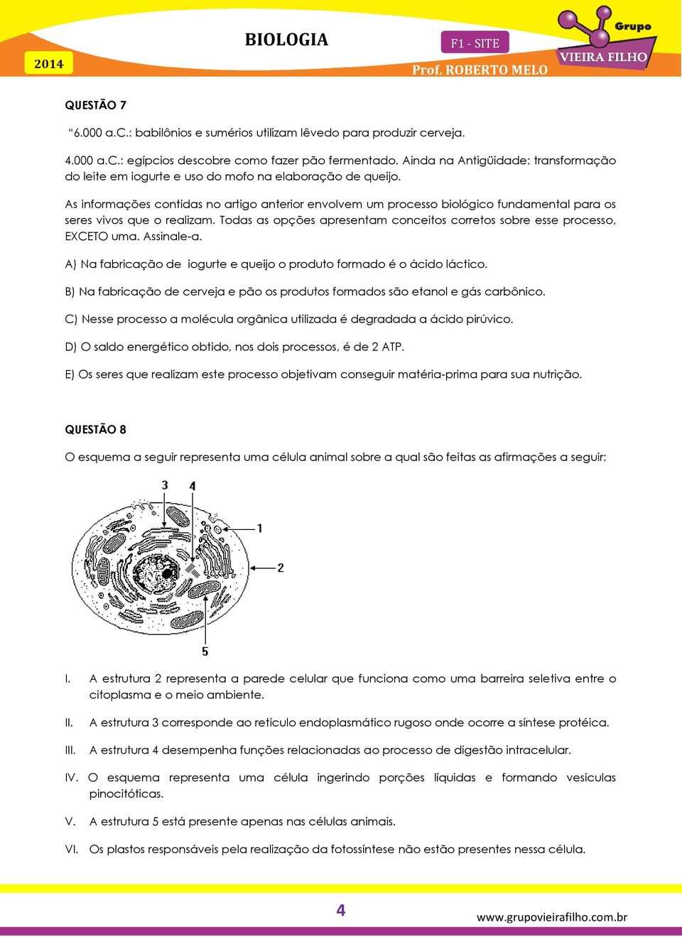 As informações contidas no artigo anterior envolvem um processo biológico fundamental para os seres vivos que o realizam. Todas as opções apresentam conceitos corretos sobre esse processo, EXCETO uma.