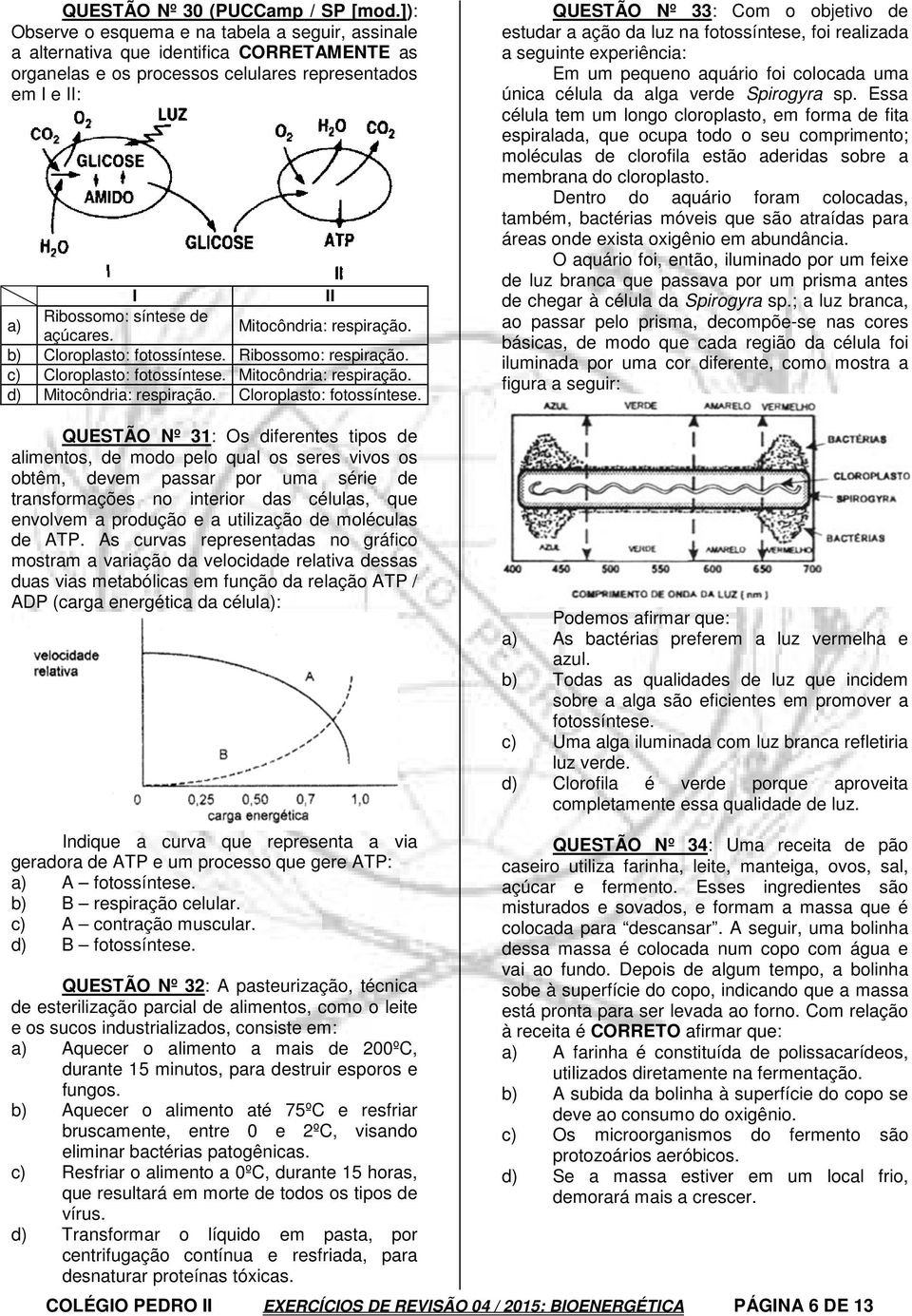 Mitocôndria: respiração. b) Cloroplasto: fotossíntese.