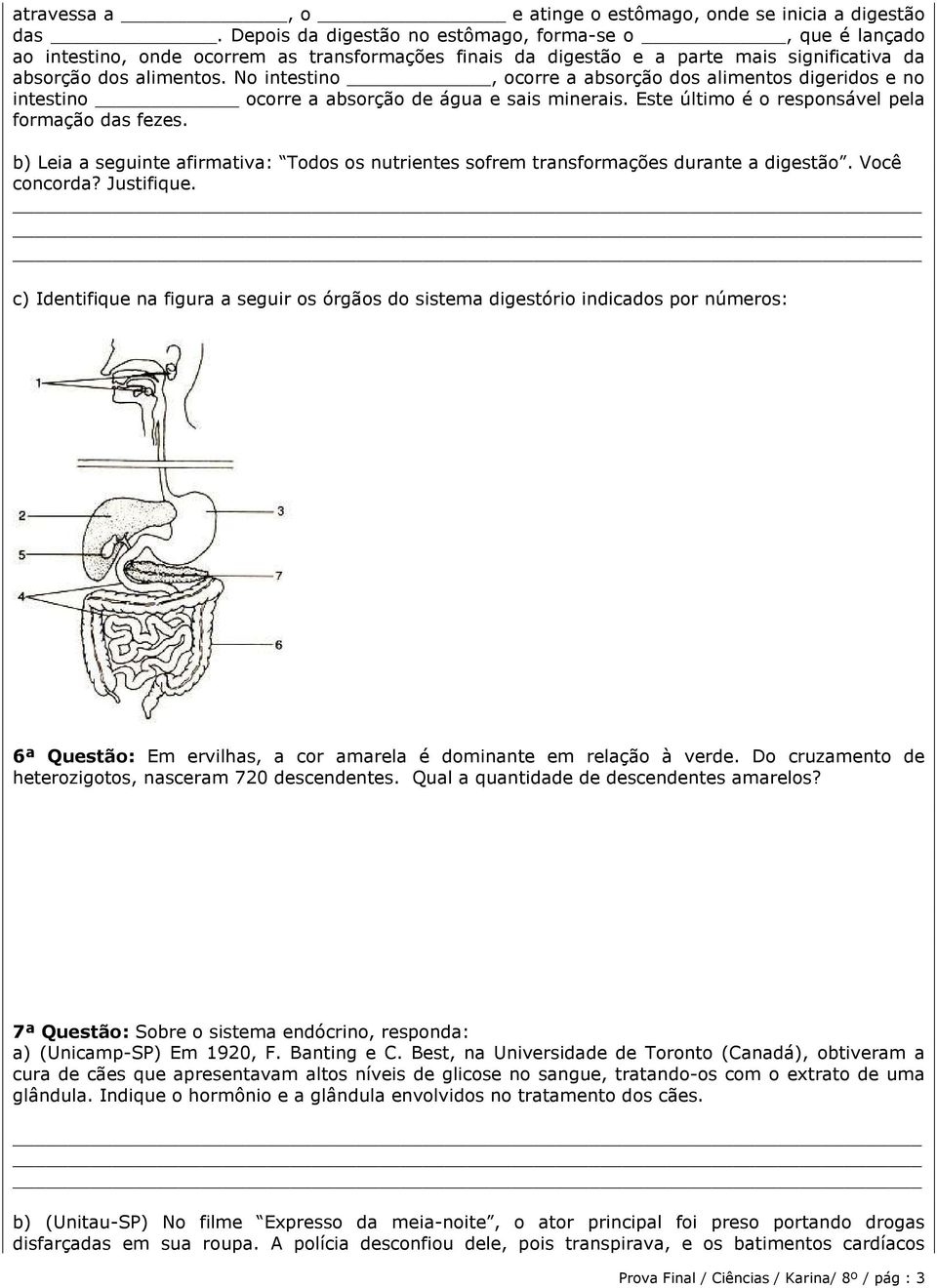 No intestino, ocorre a absorção dos alimentos digeridos e no intestino ocorre a absorção de água e sais minerais. Este último é o responsável pela formação das fezes.