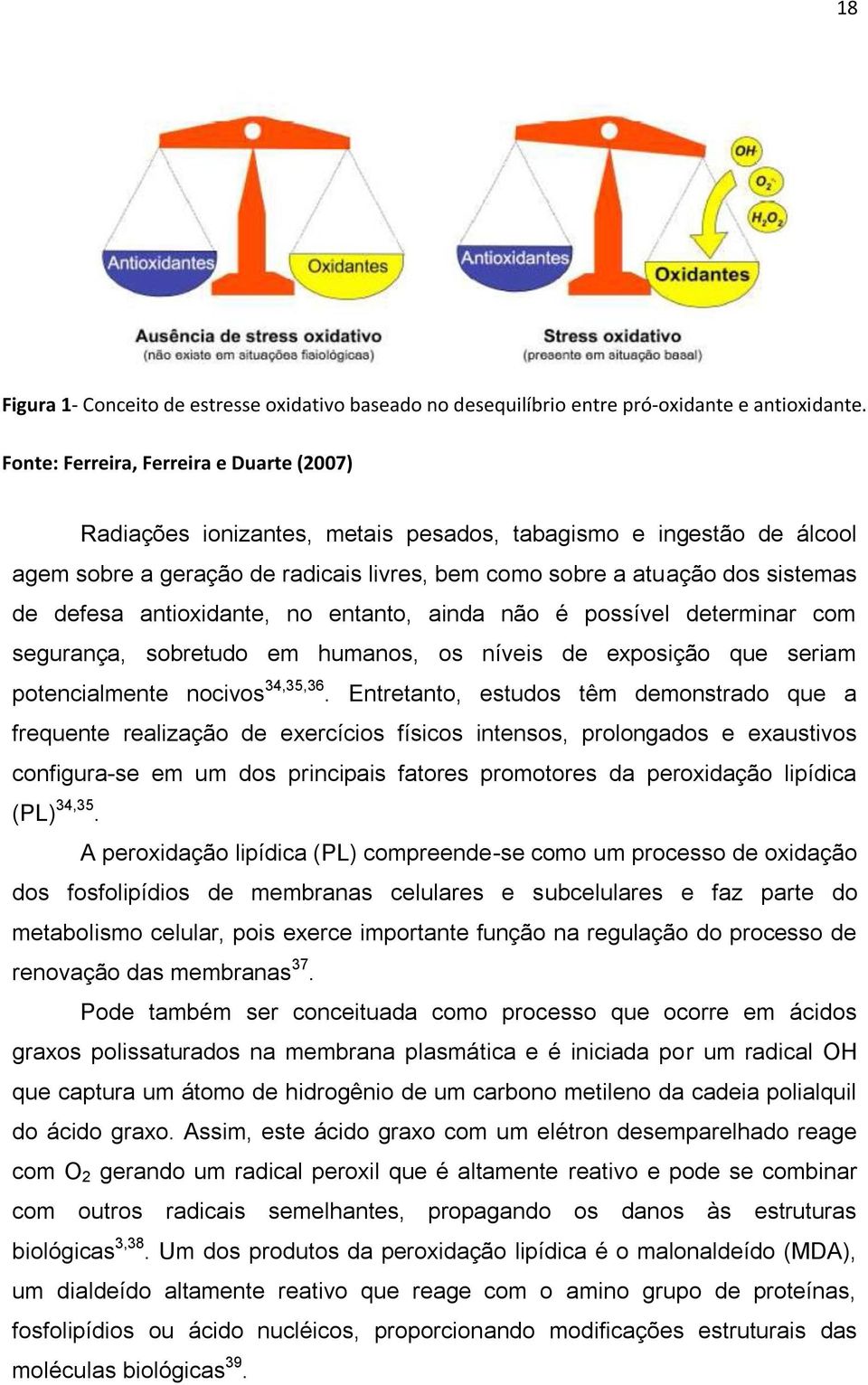 geração de radicais livres, bem como sobre a atuação dos sistemas de defesa antioxidante, no entanto, ainda não é possível determinar com segurança, sobretudo em humanos, os níveis de exposição que