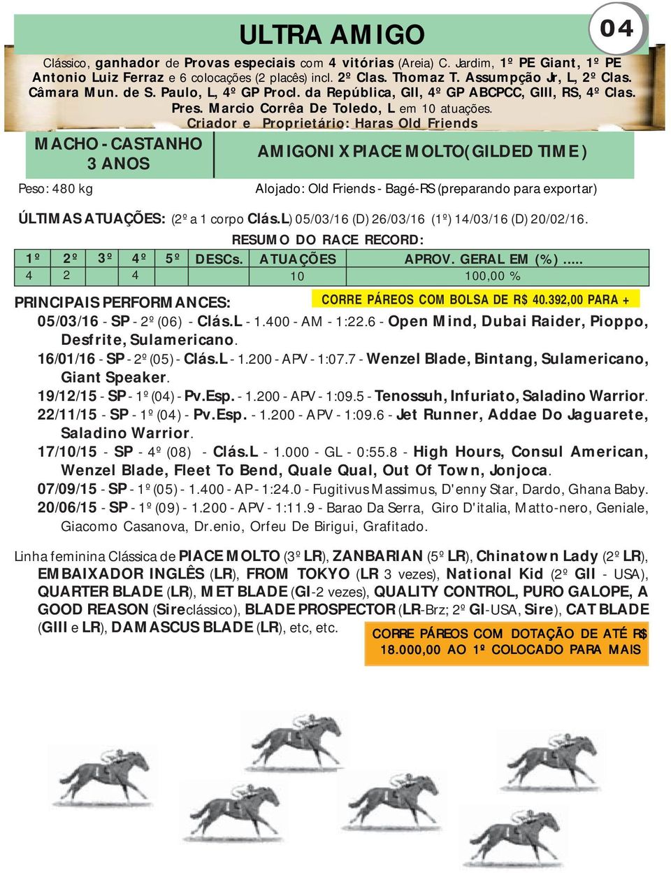 Criador e Proprietário: Haras Old Friends MACHO - CASTANHO AMIGONI X PIACE MOLTO( GILDED TIME ) 3 ANOS Peso: 480 kg Alojado: Old Friends - Bagé-RS (preparando para exportar) ÚLTIMAS ATUAÇÕES: (2º a 1