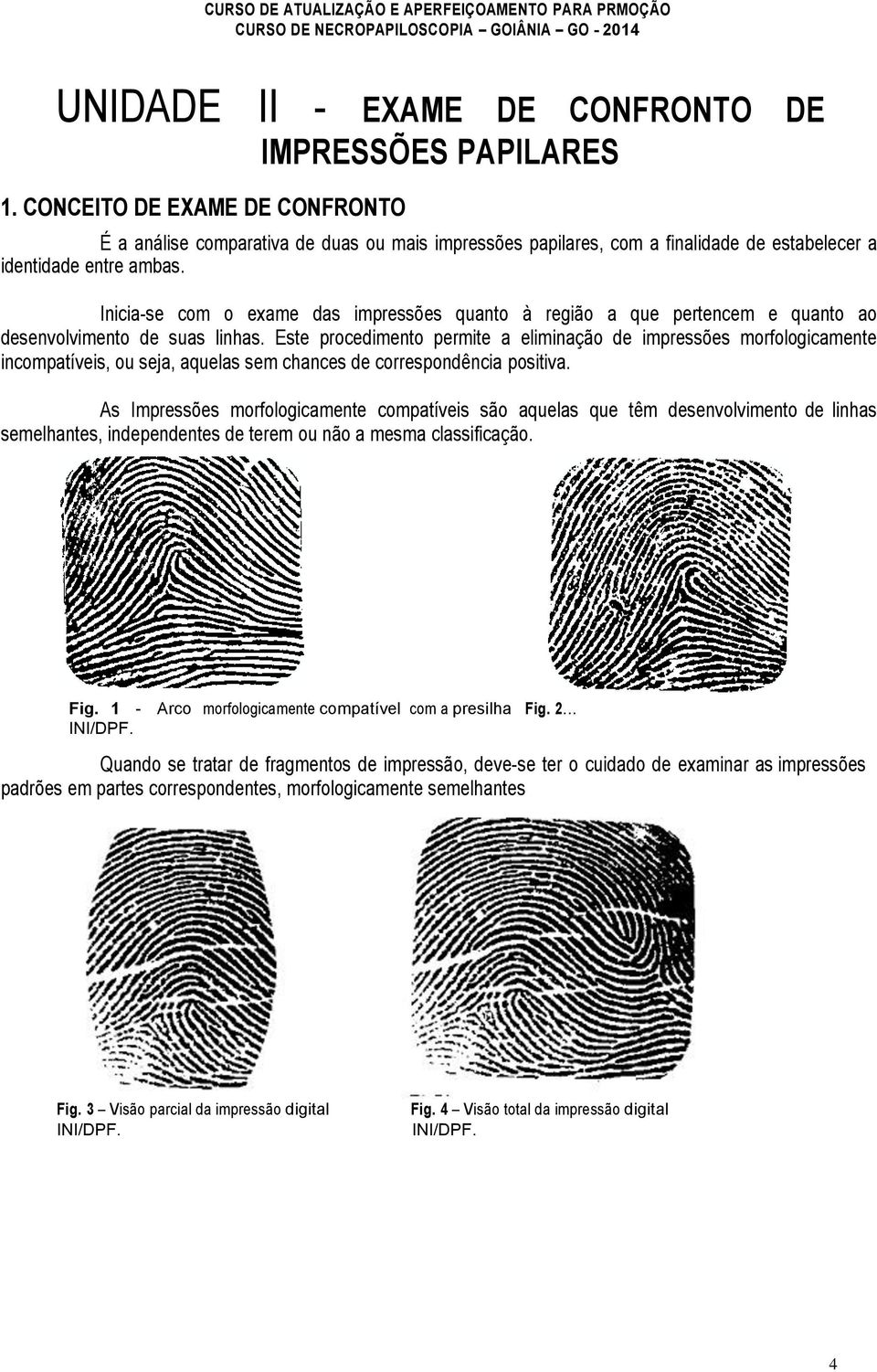 Inicia-se com o exame das impressões quanto à região a que pertencem e quanto ao desenvolvimento de suas linhas.