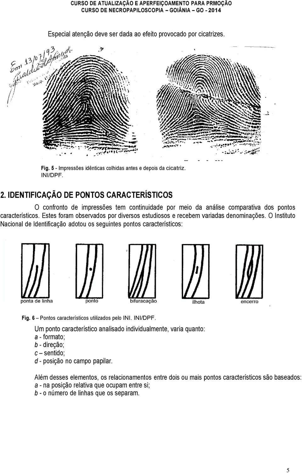 Estes foram observados por diversos estudiosos e recebem variadas denominações. O Instituto Nacional de Identificação adotou os seguintes pontos característicos: Fig.