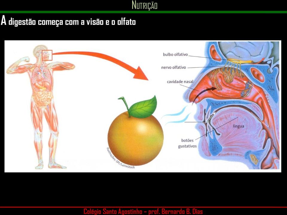 começa