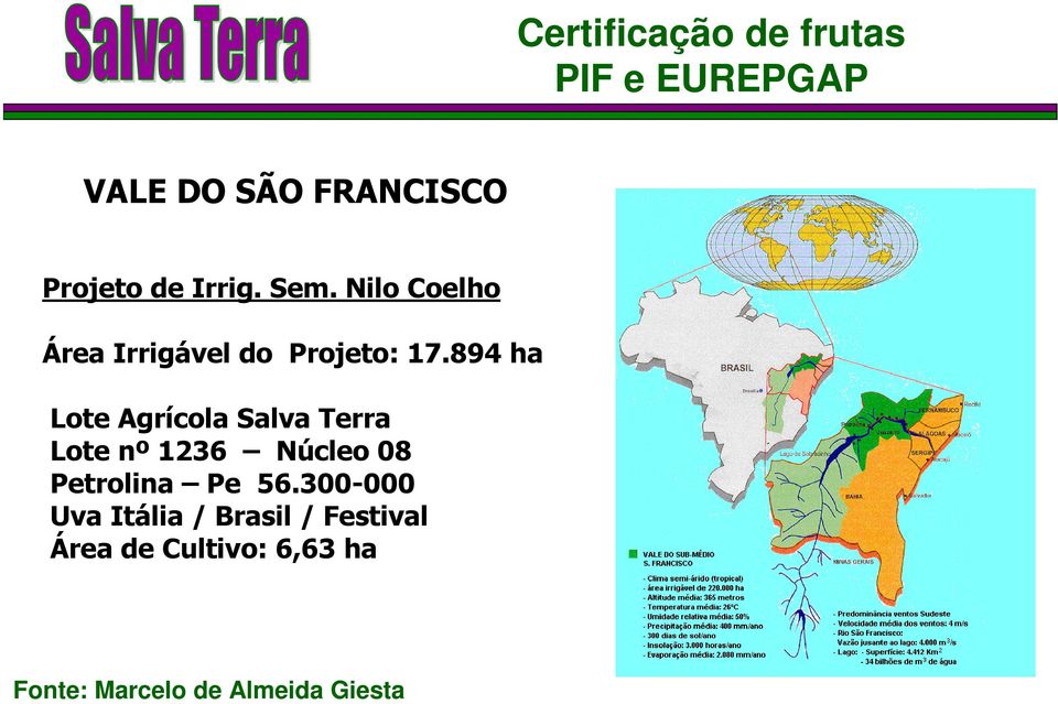 894 ha Lote Agrícola Salva Terra Lote nº 1236 Núcleo 08 Petrolina Pe 56.