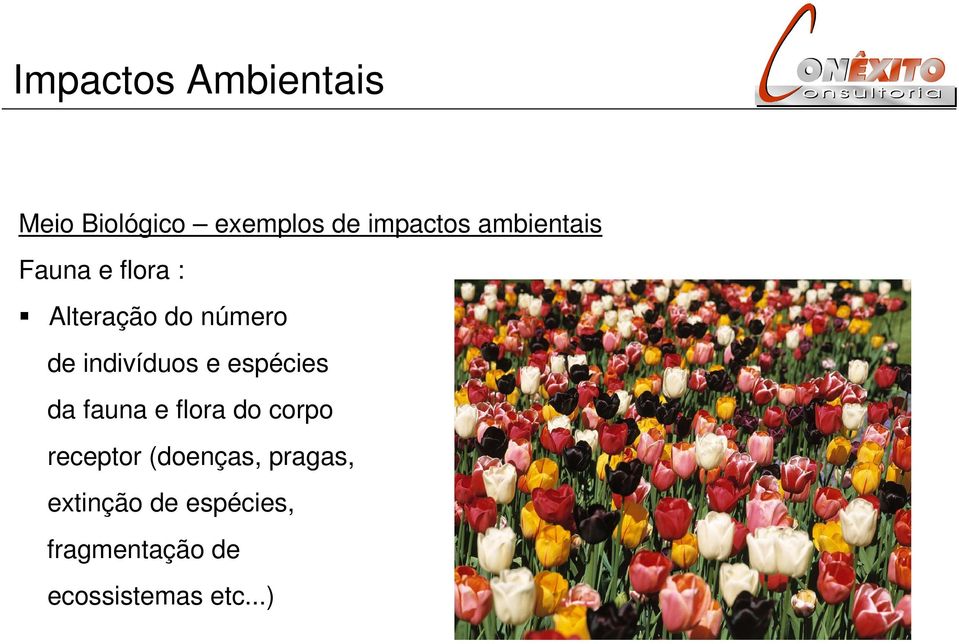 indivíduos e espécies da fauna e flora do corpo receptor