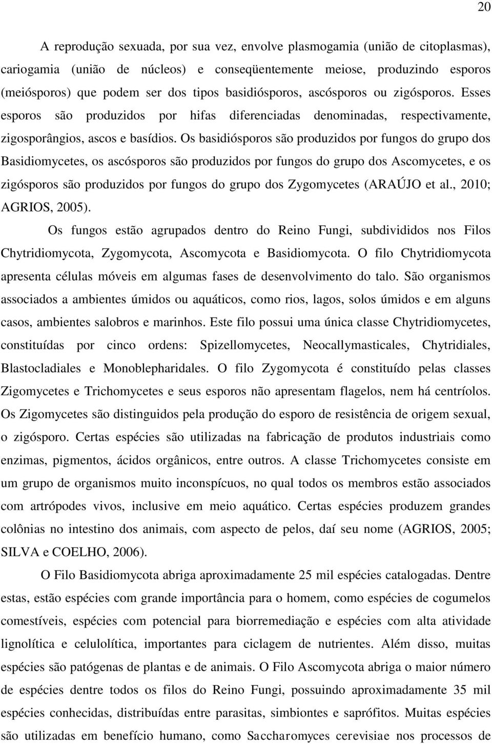 Os basidiósporos são produzidos por fungos do grupo dos Basidiomycetes, os ascósporos são produzidos por fungos do grupo dos Ascomycetes, e os zigósporos são produzidos por fungos do grupo dos