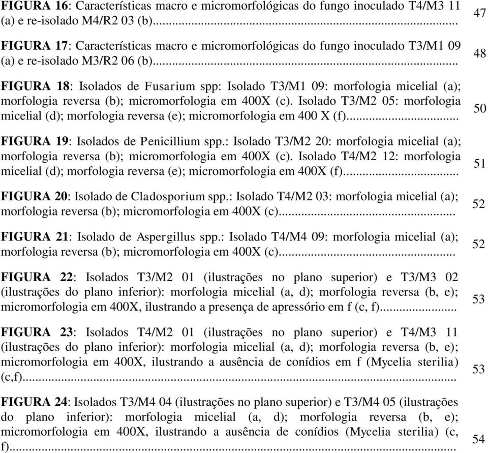 .. FIGURA 18: Isolados de Fusarium spp: Isolado T3/M1 09: morfologia micelial (a); morfologia reversa (b); micromorfologia em 400X (c).