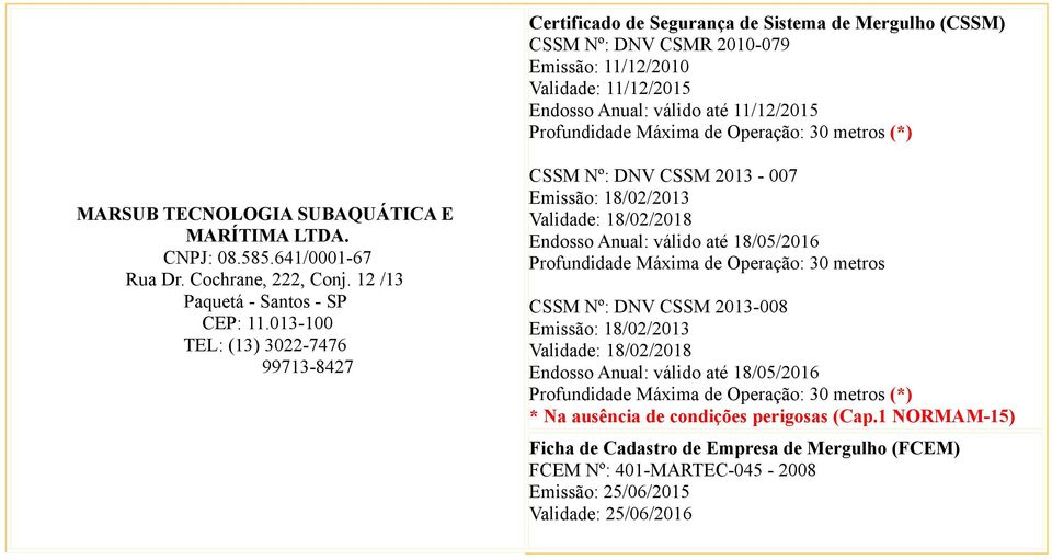 013-100 TEL: (13) 3022-7476 99713-8427 CSSM Nº: DNV CSSM 2013-007 Emissão: 18/02/2013 Validade: 18/02/2018 Endosso Anual: válido até 18/05/2016 CSSM Nº: