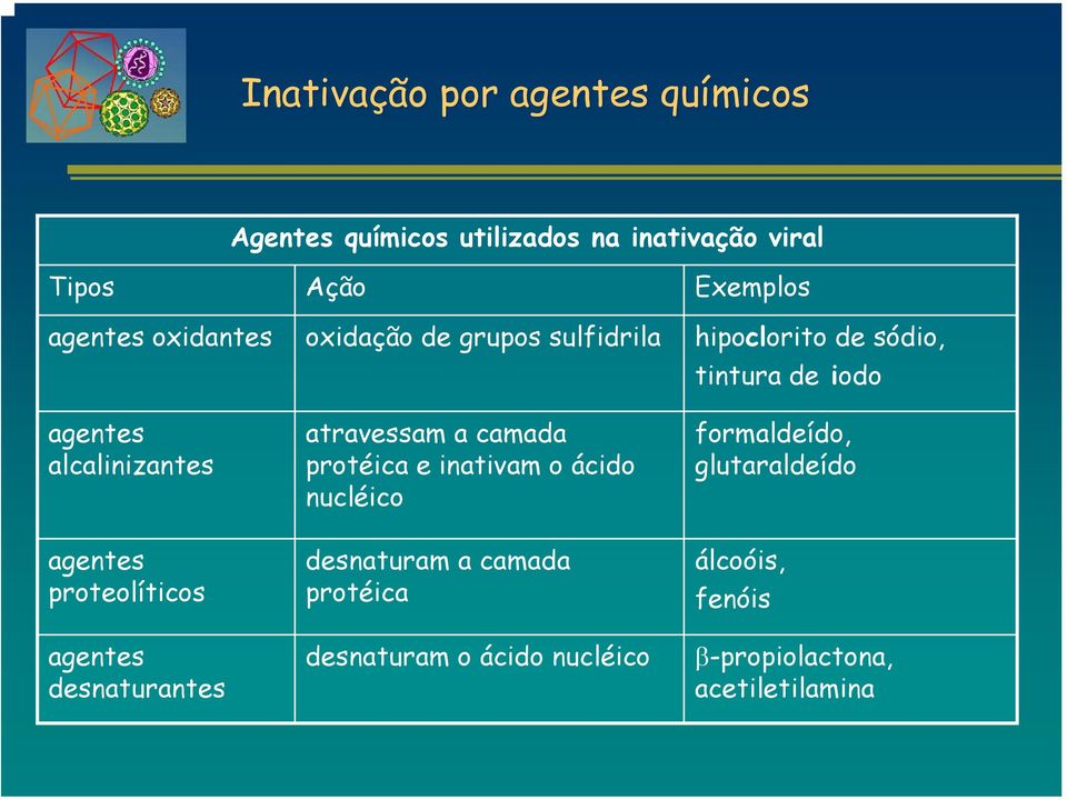 proteolíticos agentes desnaturantes atravessam a camada protéica e inativam o ácido nucléico desnaturam a