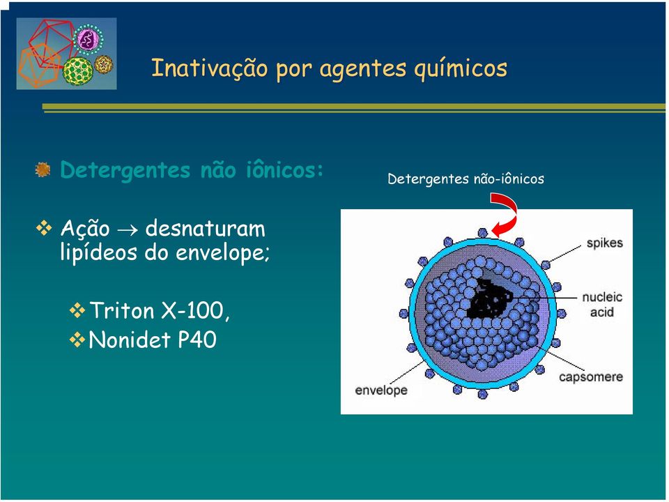 Detergentes não-iônicos Ação