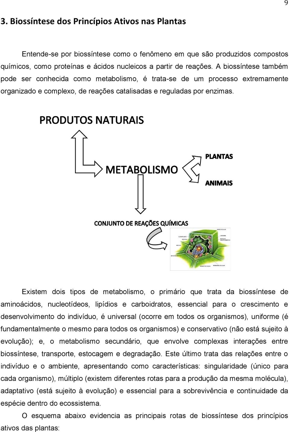 Existem dois tipos de metabolismo, o primário que trata da biossíntese de aminoácidos, nucleotídeos, lipídios e carboidratos, essencial para o crescimento e desenvolvimento do indivíduo, é universal