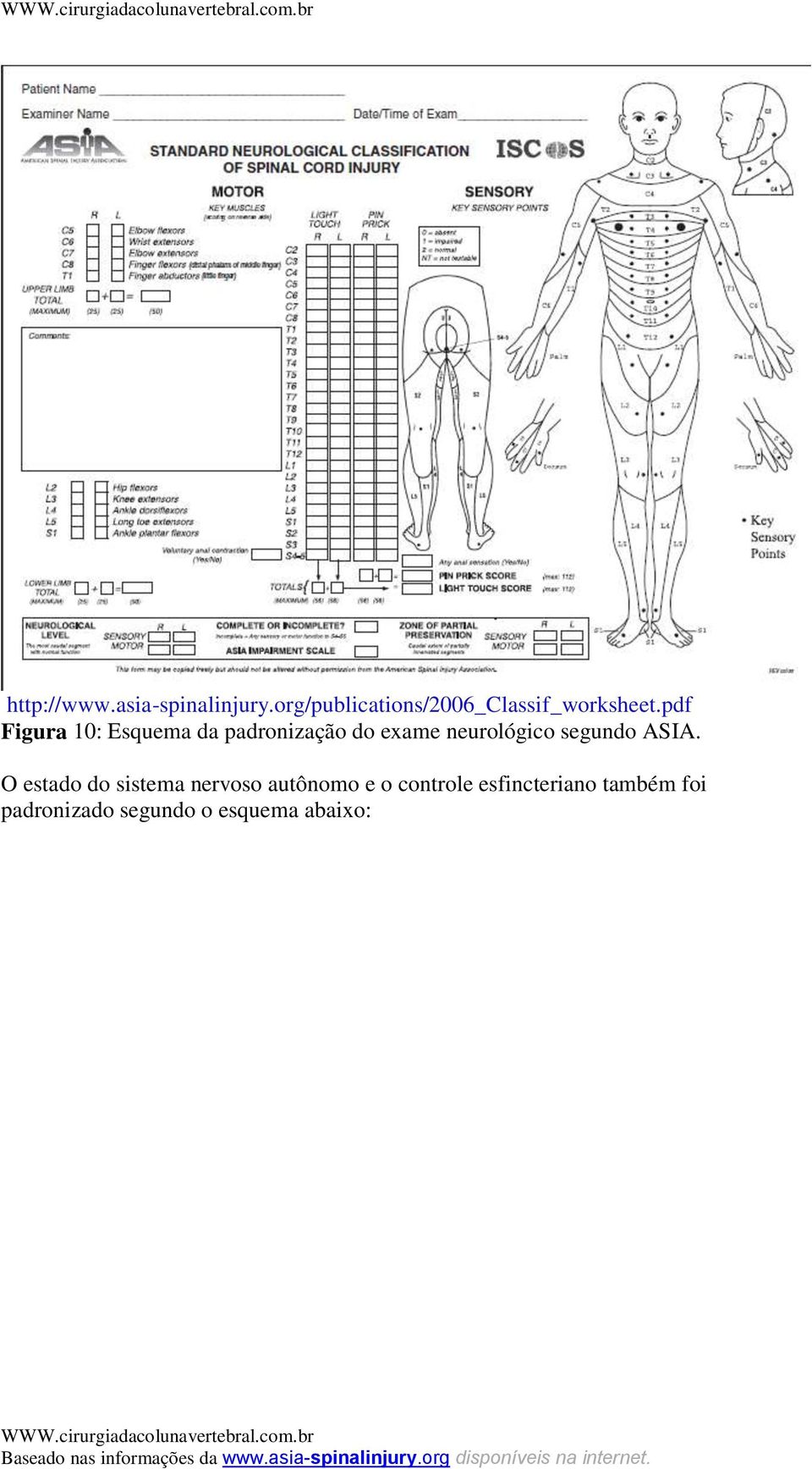 pdf Figura 10: Esquema da padronização do exame neurológico