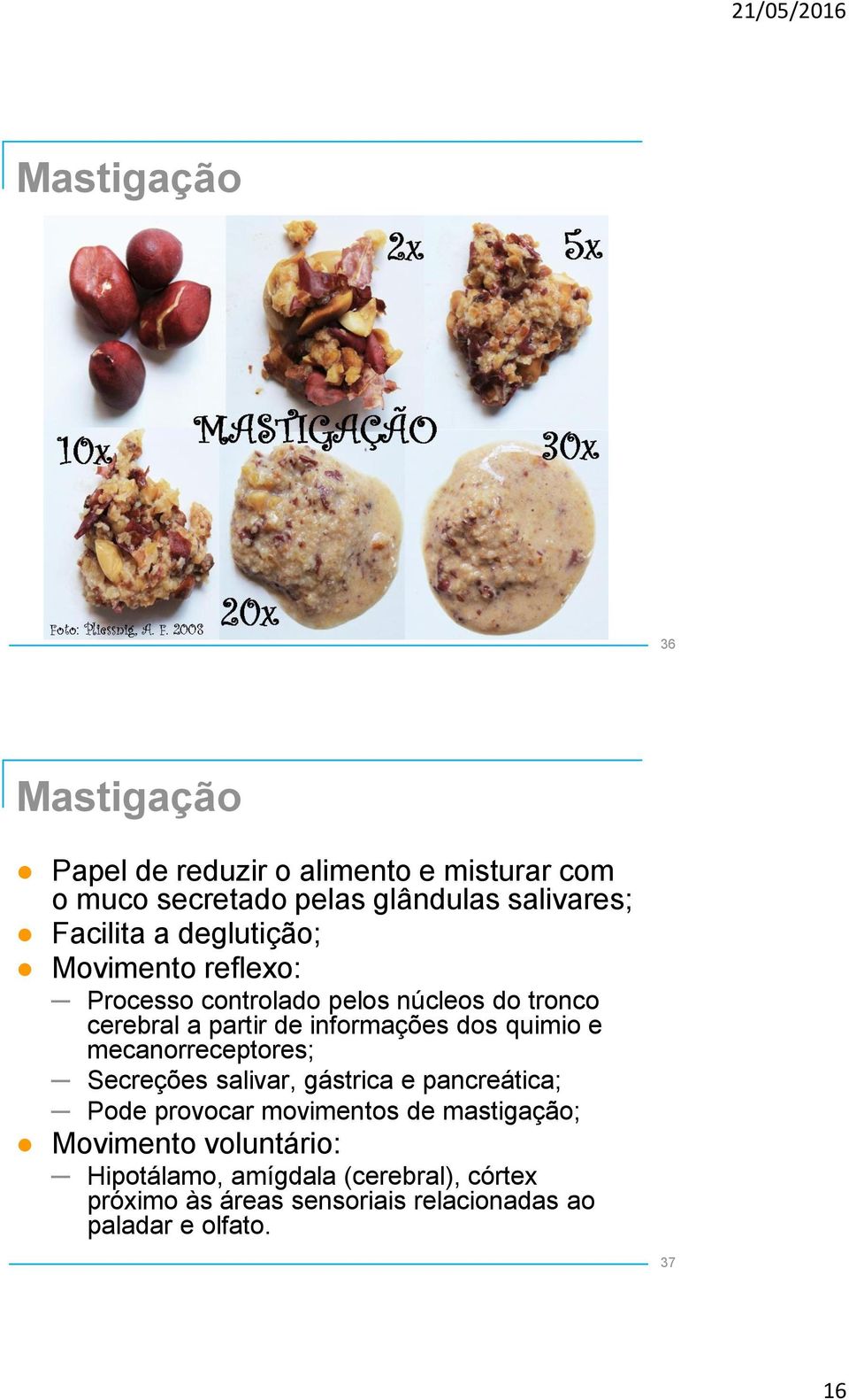 dos quimio e mecanorreceptores; Secreções salivar, gástrica e pancreática; Pode provocar movimentos de mastigação;