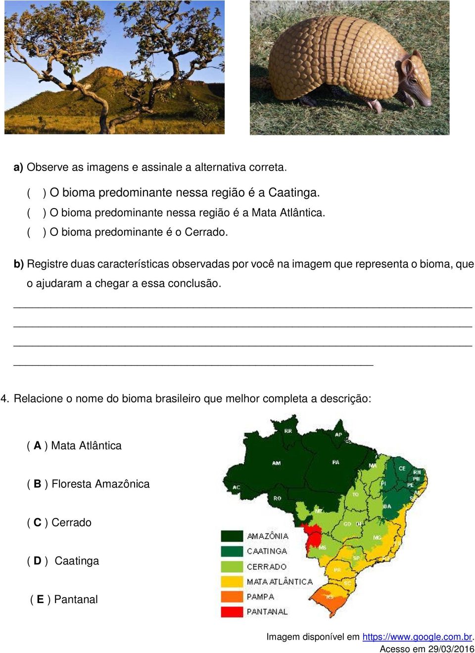 b) Registre duas características observadas por você na imagem que representa o bioma, que o ajudaram a chegar a essa conclusão. 4.