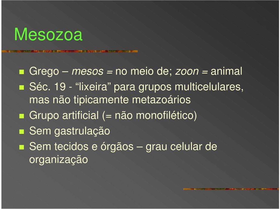 tipicamente metazoários Grupo artificial (= não