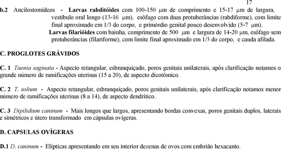 Larvas filarióides com bainha, comprimento de 500 μm e largura de 14-20 μm, esôfago sem protuberâncias (filariforme), com limite final aproximado em 1/3 do corpo, e cauda afilada. C.