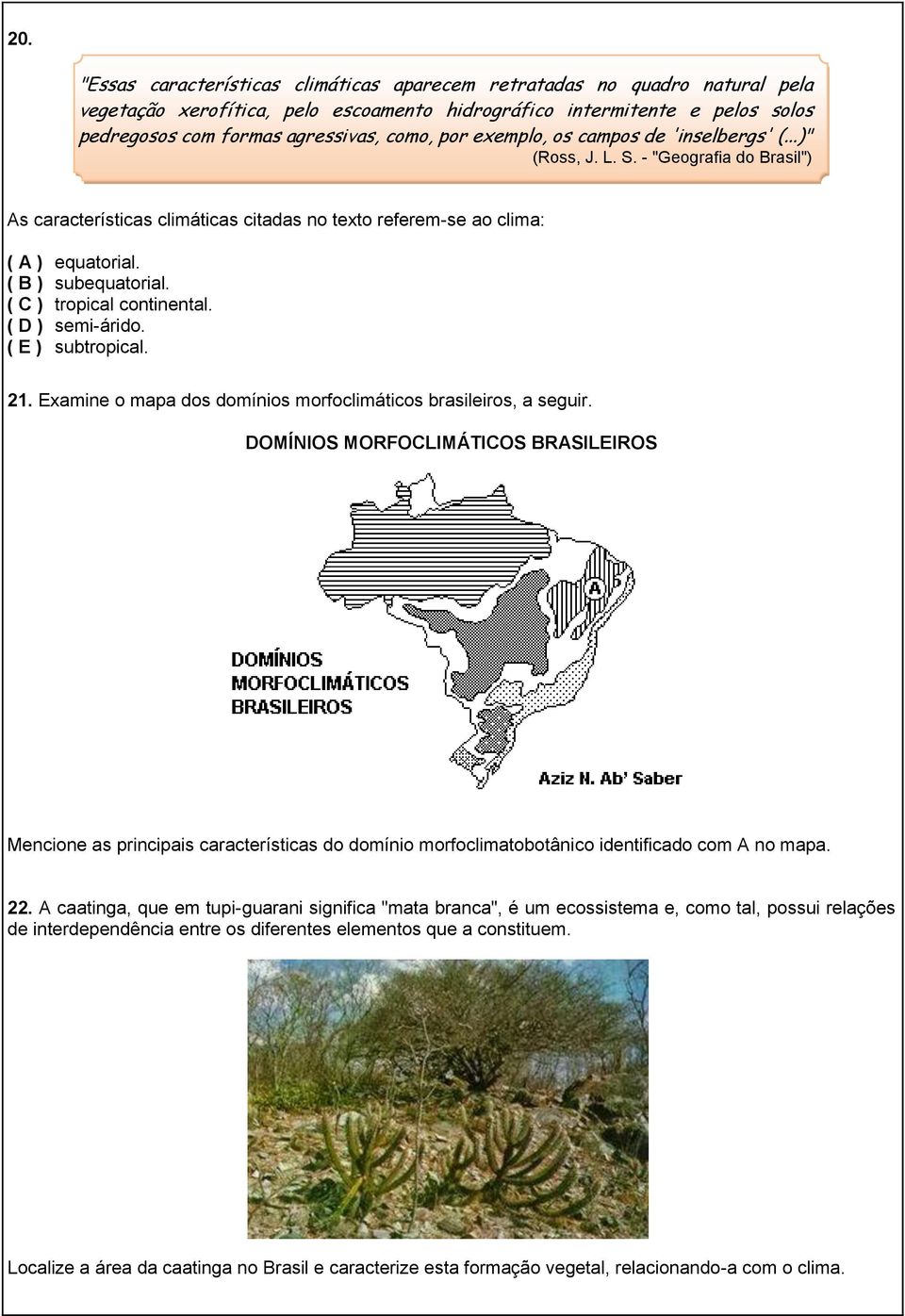 ( C ) tropical continental. ( D ) semi-árido. ( E ) subtropical. 21. Examine o mapa dos domínios morfoclimáticos brasileiros, a seguir.