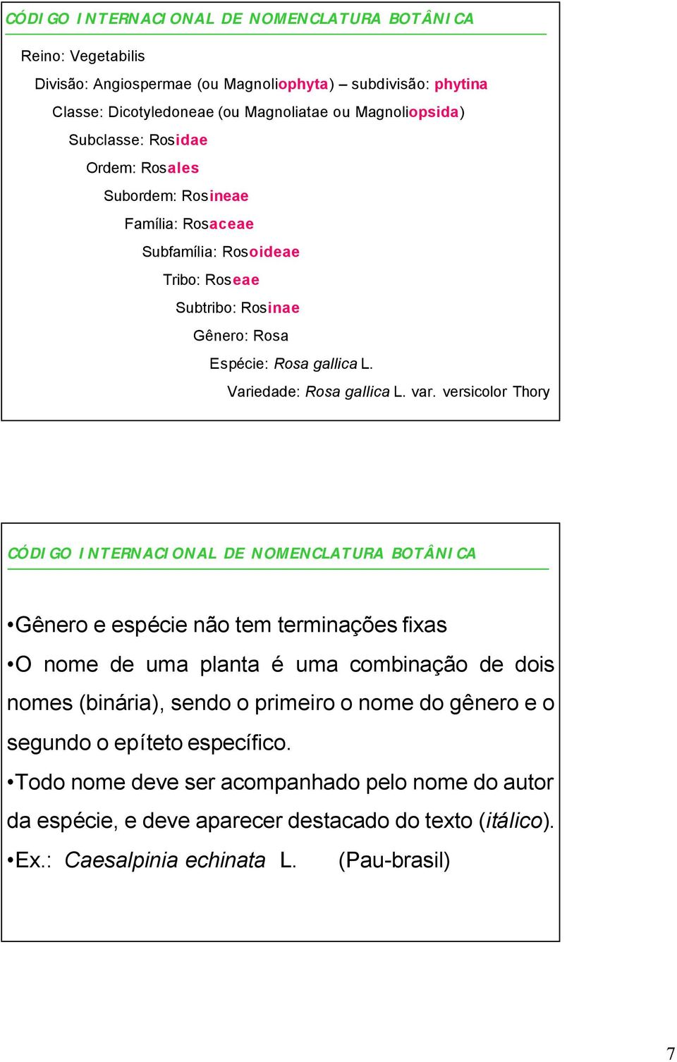 var. versicolor Thory CÓDIGO INTERNACIONAL DE NOMENCLATURA BOTÂNICA Gênero e espécie não tem terminações fixas O nome de uma planta é uma combinação de dois nomes (binária), sendo o primeiro