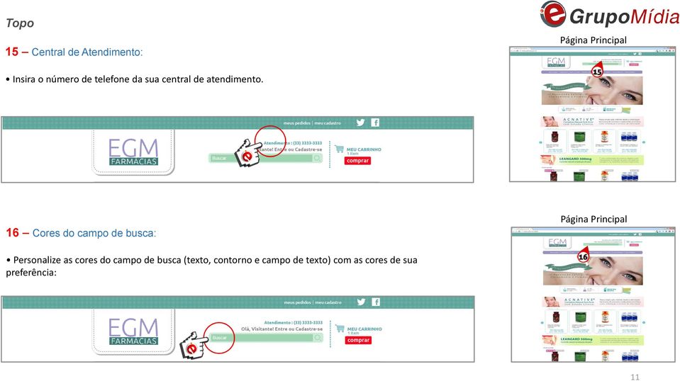 16 Cores do campo de busca: Personalize as cores do