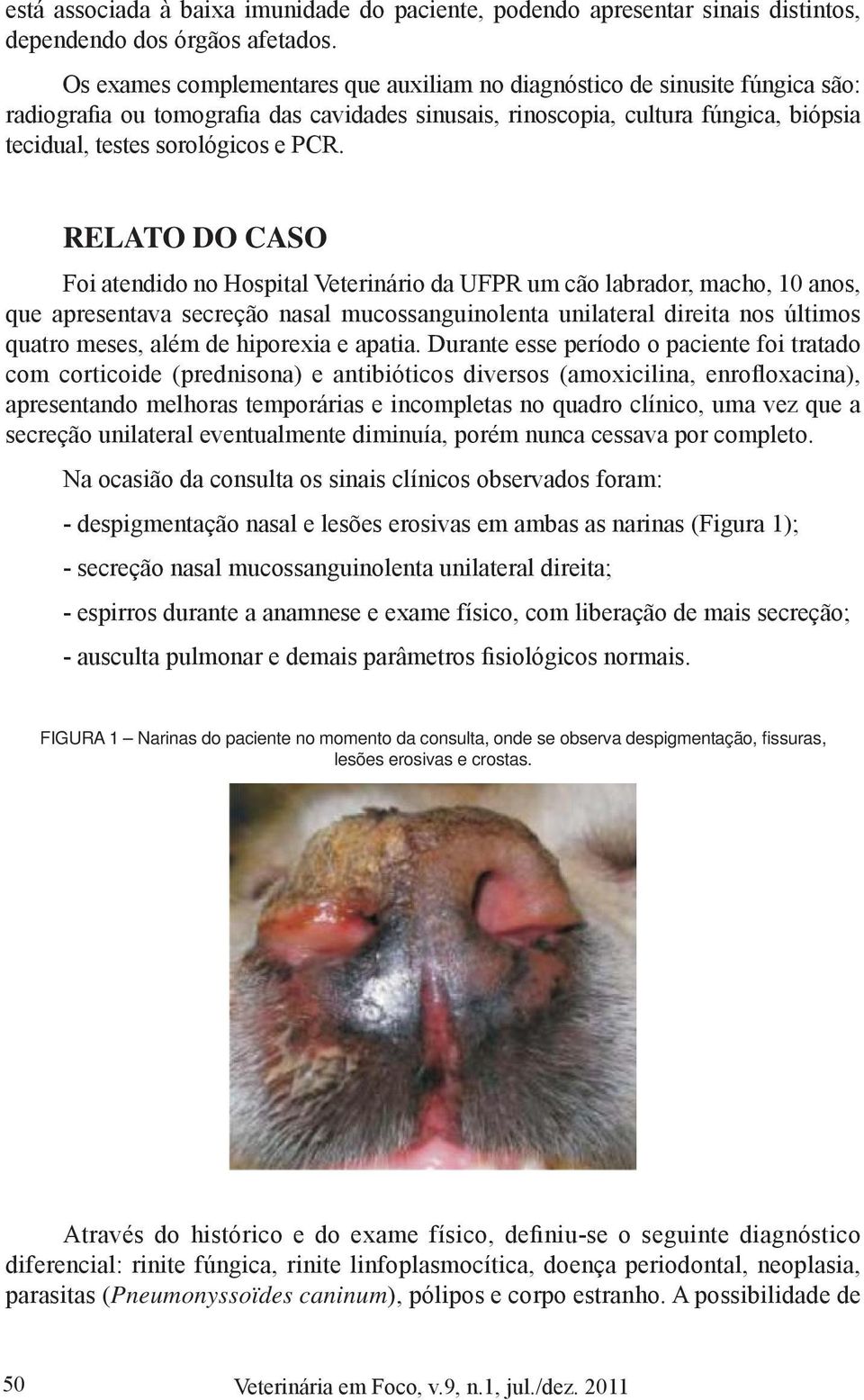 RELATO DO CASO Foi atendido no Hospital Veterinário da UFPR um cão labrador, macho, 10 anos, que apresentava secreção nasal mucossanguinolenta unilateral direita nos últimos quatro meses, além de