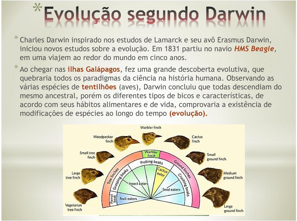 Ao chegar nas ilhas Galápagos, fez uma grande descoberta evolutiva, que quebraria todos os paradigmas da ciência na história humana.