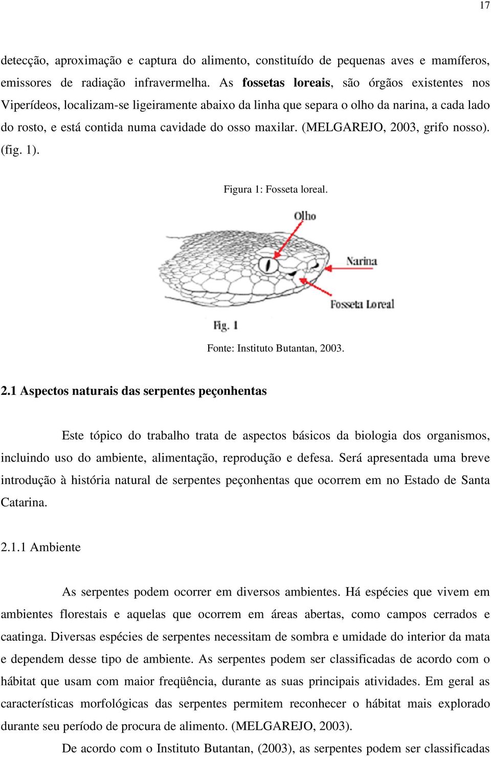 (MELGAREJO, 2003, grifo nosso). (fig. 1). Figura 1: Fosseta loreal. Fonte: Instituto Butantan, 2003. 2.1 Aspectos naturais das serpentes peçonhentas Este tópico do trabalho trata de aspectos básicos da biologia dos organismos, incluindo uso do ambiente, alimentação, reprodução e defesa.