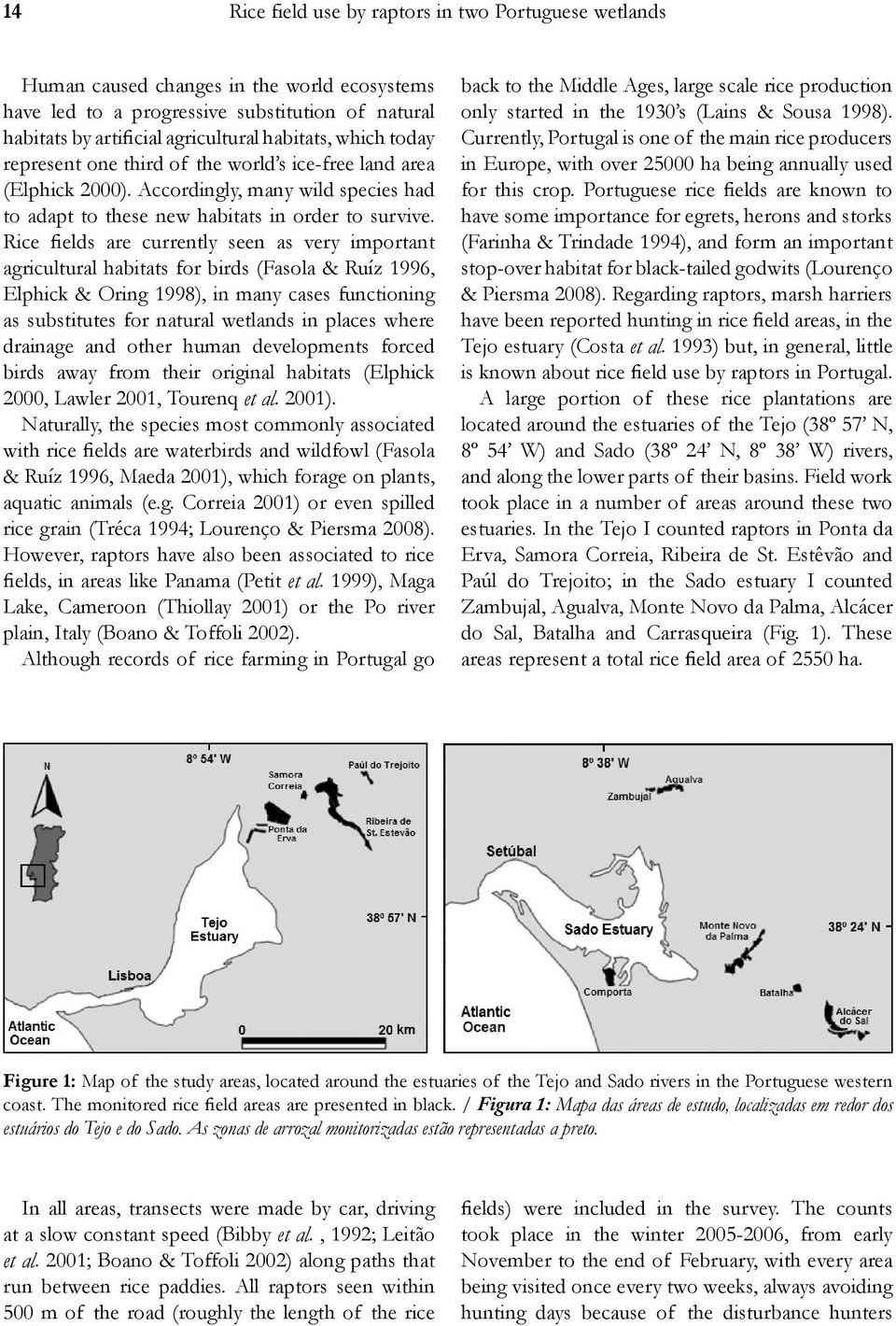 Rice fields are currently seen as very important agricultural habitats for birds (Fasola & Ruíz 1996, Elphick & Oring 1998), in many cases functioning as substitutes for natural wetlands in places