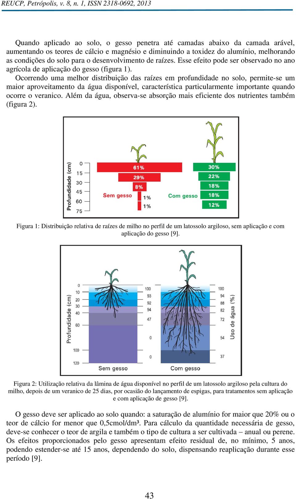 Ocorrendo uma melhor distribuição das raízes em profundidade no solo, permite-se um maior aproveitamento da água disponível, característica particularmente importante quando ocorre o veranico.