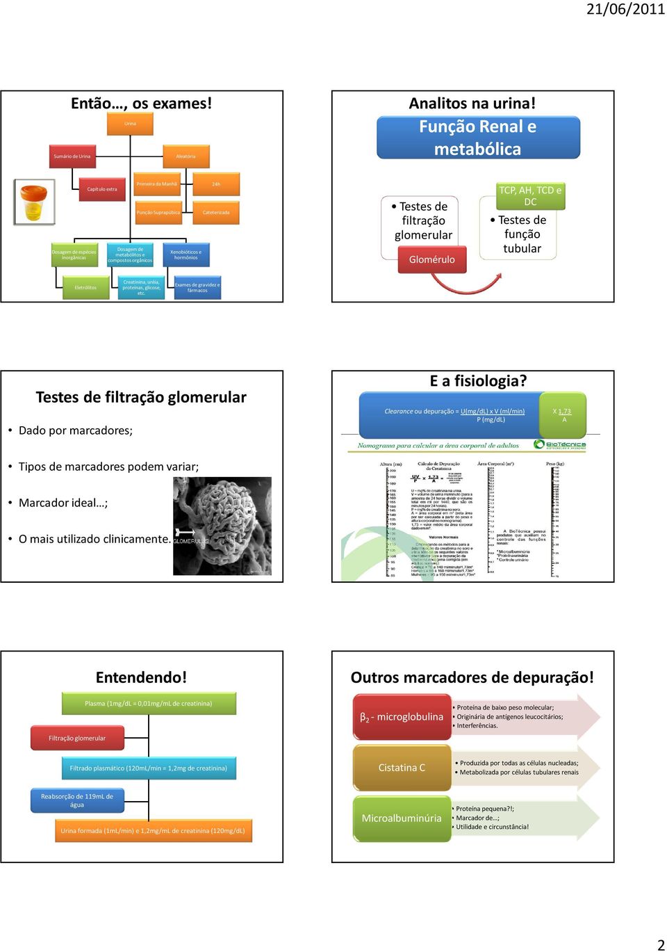 Testes de filtração glomerular Glomérulo TCP, AH, TCD e DC Testes de função tubular Eletrólitos Creatinina, uréia, proteínas, glicose, etc.