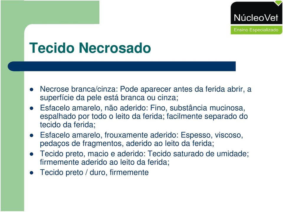 tecido da ferida; Esfacelo amarelo, frouxamente aderido: Espesso, viscoso, pedaços de fragmentos, aderido ao leito da