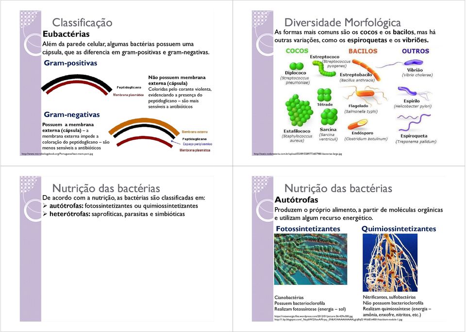 Gram-negativas Possuem a membrana externa (cápsula) a membrana externa impede a coloração do peptidoglicano são menos sensíveis a antibióticos http://www.microbiologybook.org/portuguese/bact-mem-port.