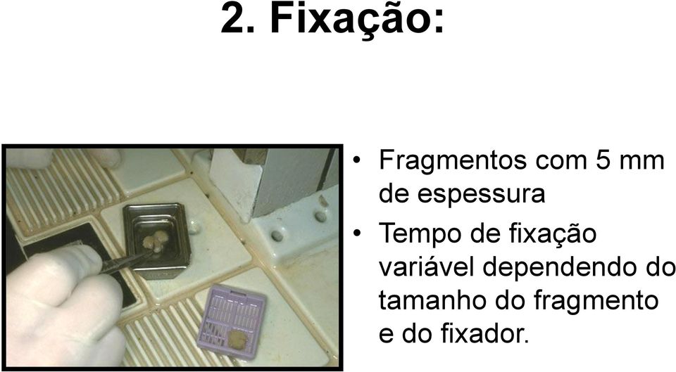 fixação variável dependendo