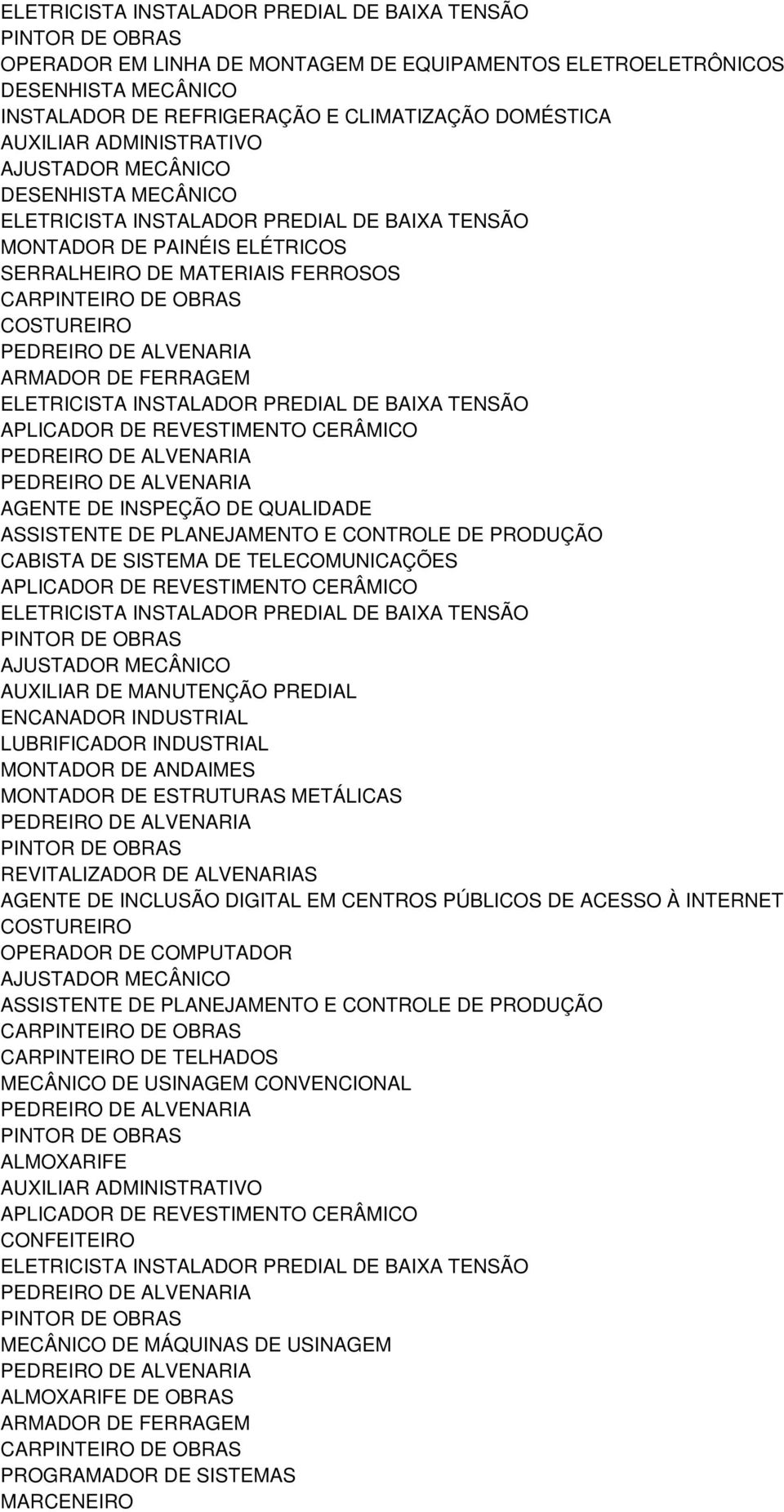 LUBRIFICADOR INDUSTRIAL MONTADOR DE ANDAIMES MONTADOR DE ESTRUTURAS METÁLICAS REVITALIZADOR DE ALVENARIAS AGENTE DE INCLUSÃO DIGITAL EM CENTROS PÚBLICOS DE ACESSO À