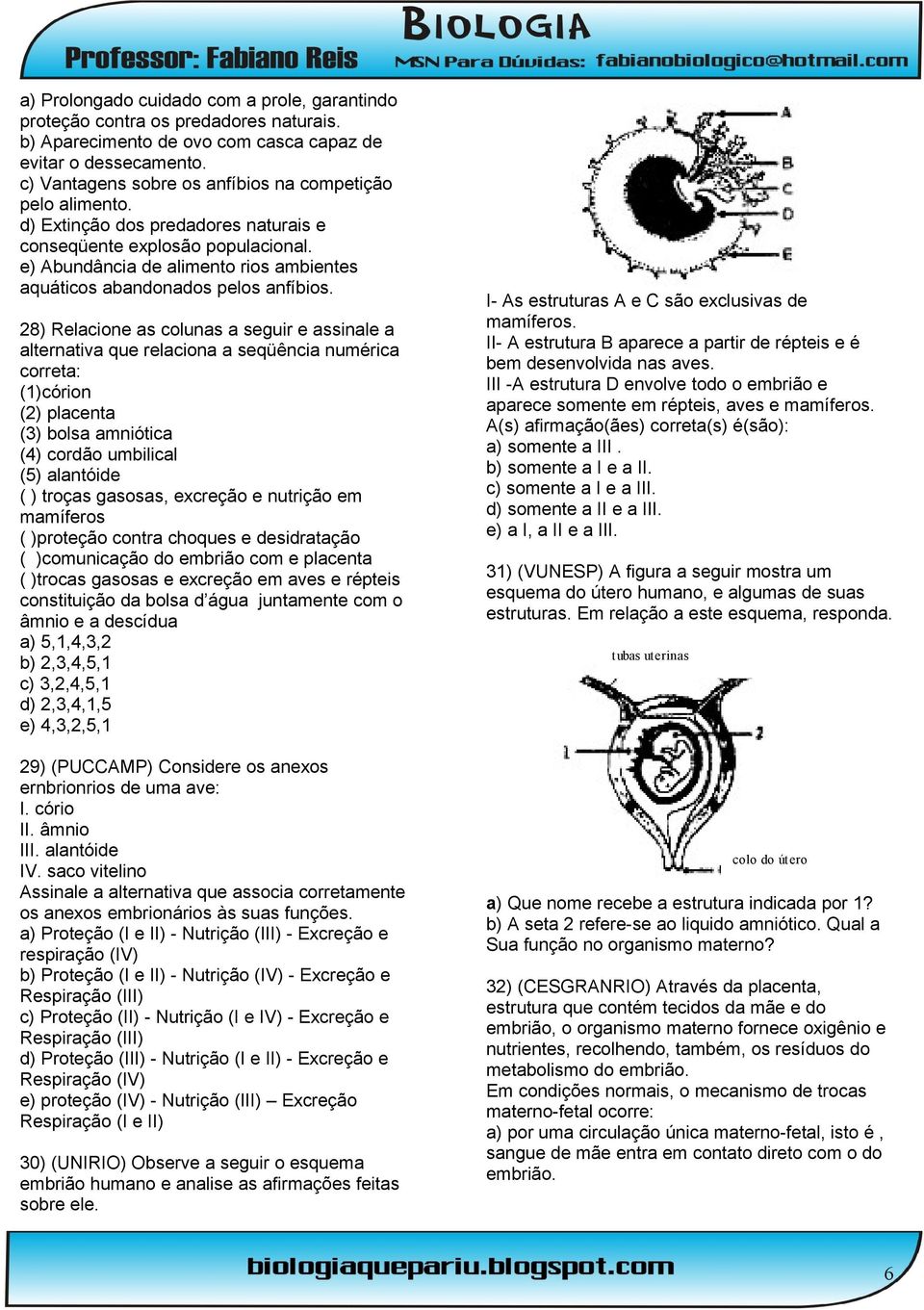 e) Abundância de alimento rios ambientes aquáticos abandonados pelos anfíbios.