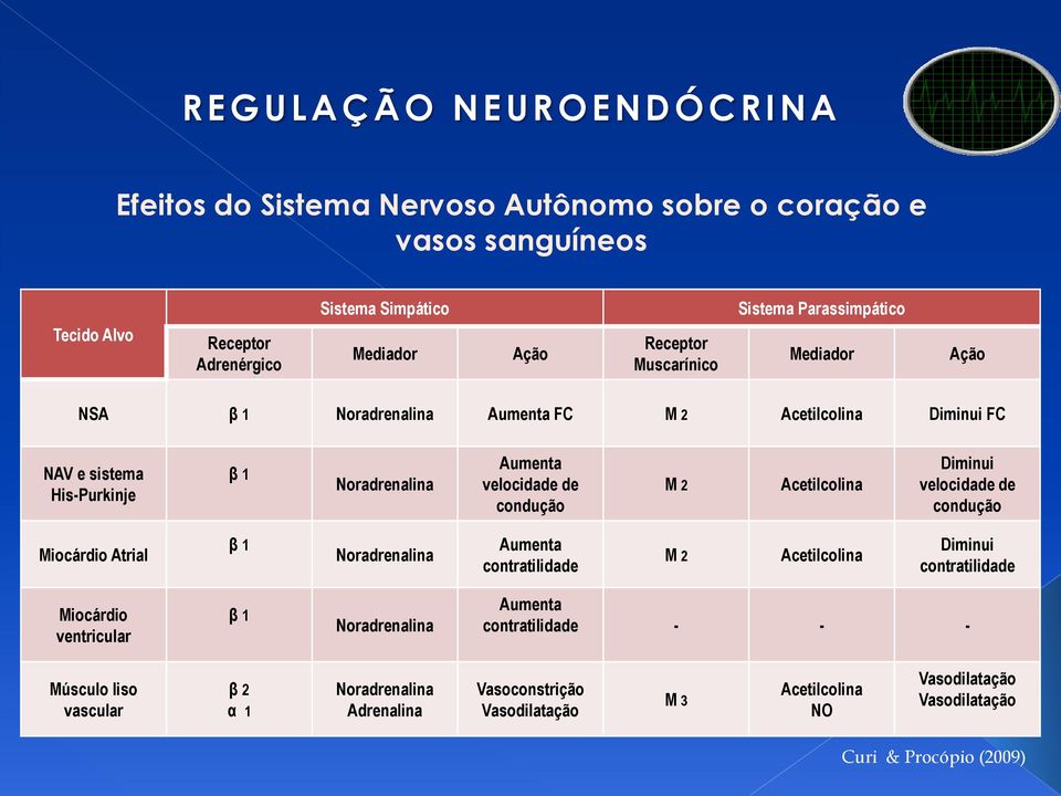 Acetilcolina Diminui velocidade de condução Miocárdio Atrial β 1 Noradrenalina Aumenta contratilidade M 2 Acetilcolina Diminui contratilidade Miocárdio ventricular β 1 Noradrenalina