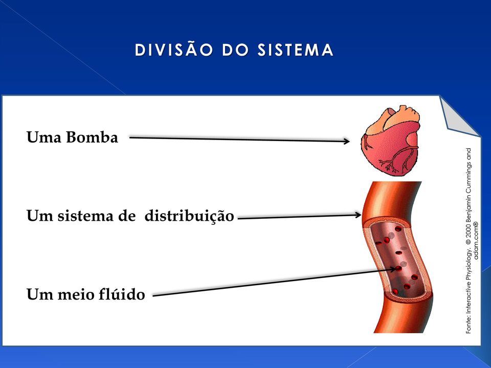 com DIVISÃO DO SISTEMA Uma Bomba